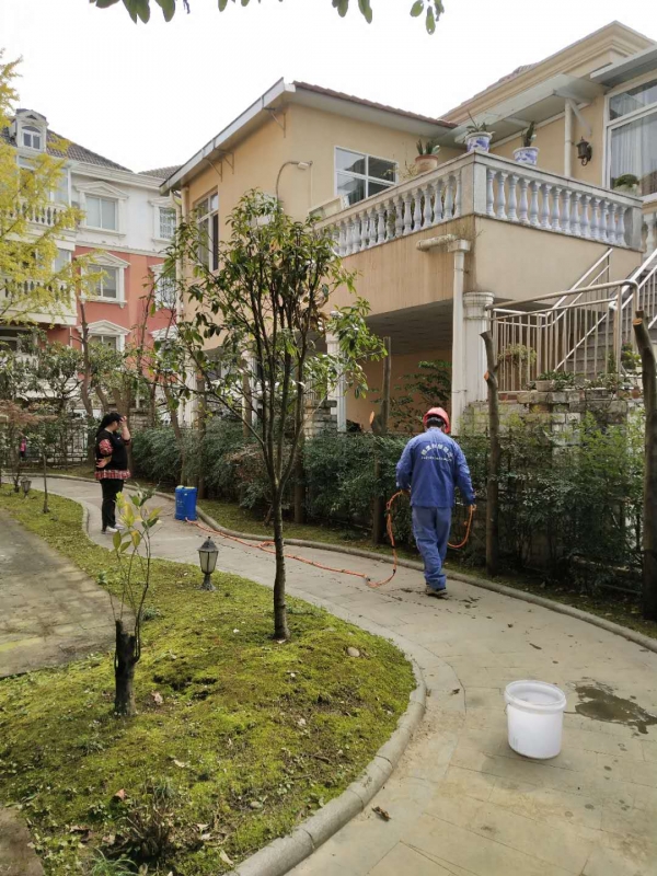 江油房屋白蟻防治