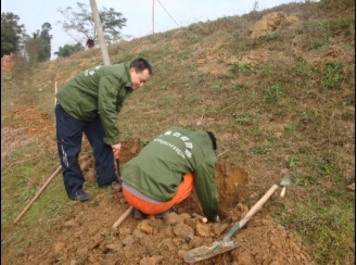 資陽(yáng)水庫(kù)類白蟻防治操作